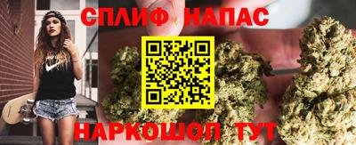 прущие грибы Братск