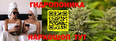 прущие грибы Братск